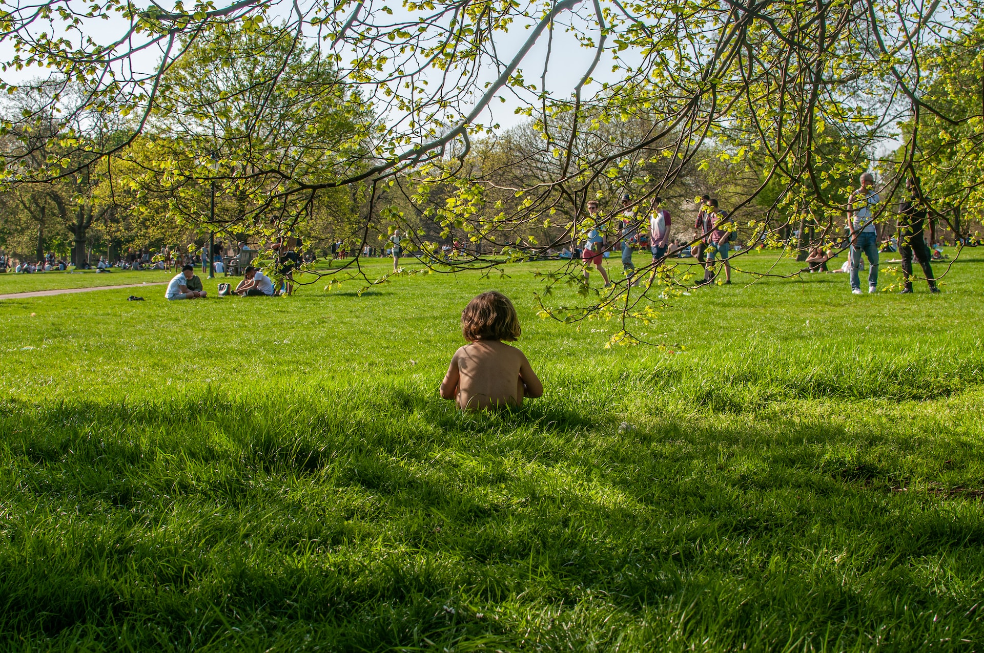 children sitting on green grass field during daytime